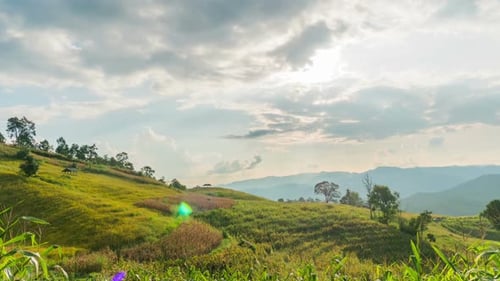 Landschaft Natur