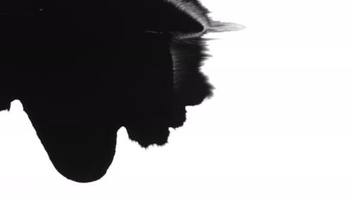 Black Ink Drop Spreading Across White Background