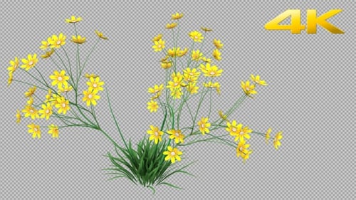 Animated Yellow Wildflowers Blooming with Green Foliage