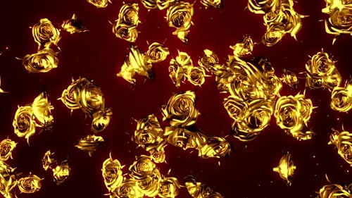 Gold Roses Particles 4k
