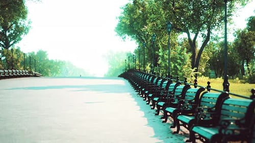 Serene Park Path with Benches and Sunlight Motion Background