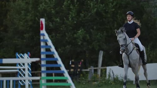 Junge Frau auf Pferd springt über Hindernisse