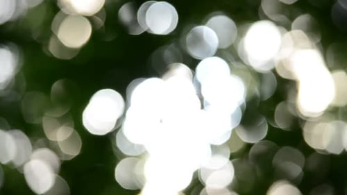 Die Strahlen der Sonne