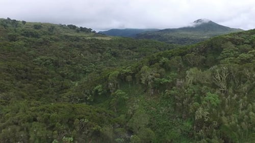 Vista aérea del bosque en las colinas