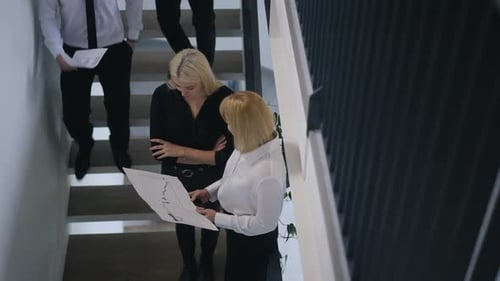 High Angle View Concentrated Professional Women Talking Analyzing Paperwork with Men Passing