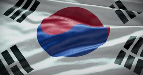 Realistic Waving Flag of South Korea Seamless Loop