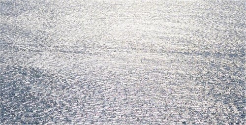 Sea 29