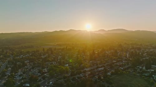 Aerial flight over beautiful vineyard landscape in California at sunset