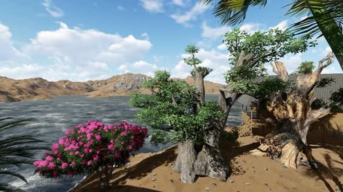 Home garden during the day