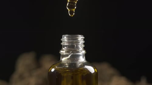 Concept of medical cbd oil treatment and produce. Very close macro view of dropping oil from pipette
