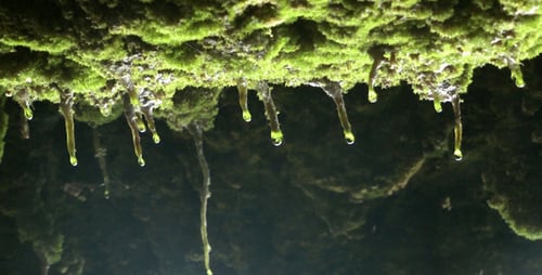 Waterdrops