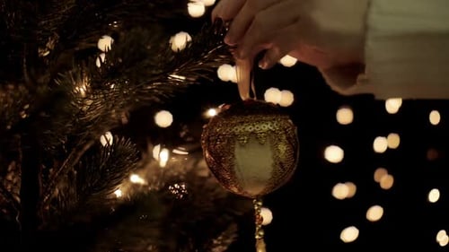Decorating Christmas Tree with Ornament at Night