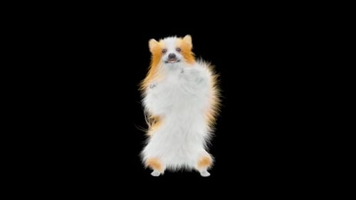 Adorable Puppy Dog Dancing Animation Loop