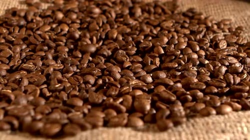 Close Up of Roasted Coffee Beans on Burlap