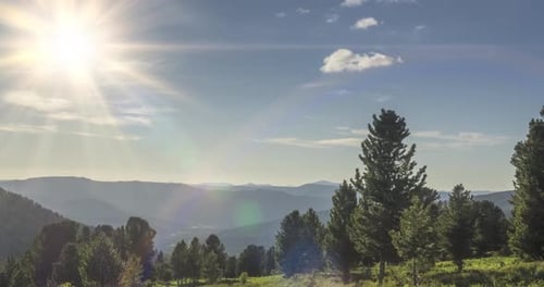 Mountain Meadow Timelapse. Wild Nature and Rural Field. Clouds, Trees, Green Grass and Sun Rays