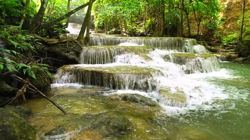 Cascadas salvajes