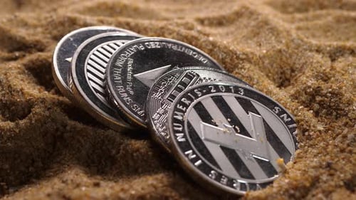 Différents types de cryptomonnaies