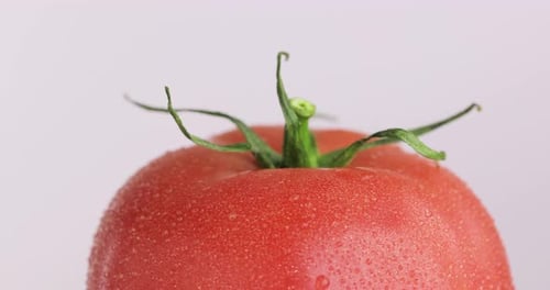 Fresh Tomato with Water Droplets on White