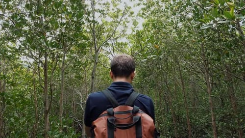 Man Tourist with Backpack Walking Through Green Trees in Woods Hiking Trip