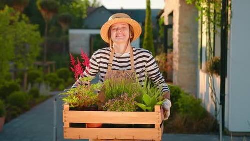 Woman Holding Crate of Flowers in Suburban Garden