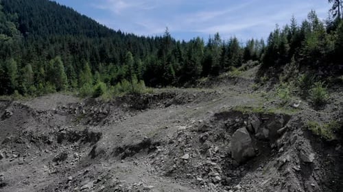 Lush Green Mountain Forest and Rocky Hillside
