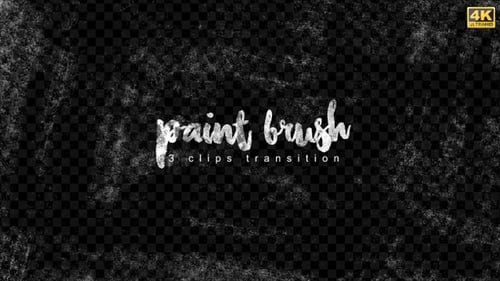 Textured Paint Brush Stroke Transitions