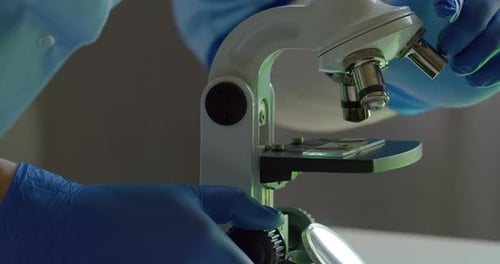 Close-up Shooting. A Lab Worker Is Looking Into a Microscope and Adjusting It. Experiments