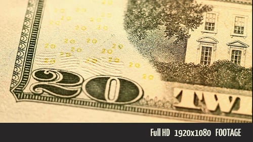 Twenty US Dollar