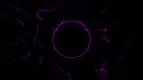 Neon Purple Audio Spectrum Visualizer with Plexus Background