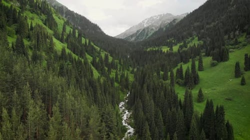 Aerial Drone Shot of Green Mountain Forest and River in Kazakhstan