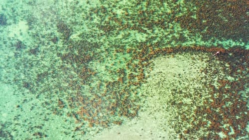 Aerial abstract of exotic tourist beach time by blue ocean and bright sand background of a dayout in