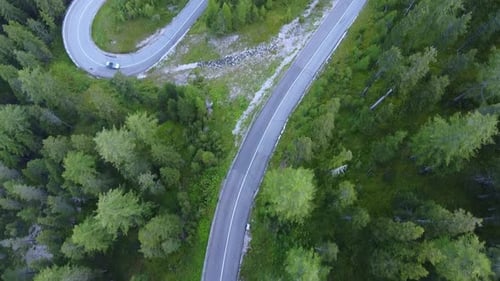Winding Road in Green Coniferous Forest