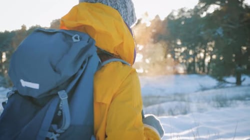 Rear View of a Woman Travels Through an Winter Pine Forest with a Backpack