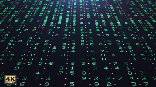 Números de computador