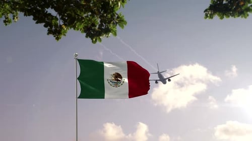 Mexico Flag With Airplane And City -3D rendering