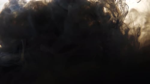 Dark Ink Diffusing in Clear Liquid