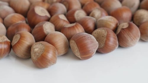 Pile of Corylus avellana nuts close-up 4K 2160p 30fps UltraHD footage - Organic hazelnuts on white