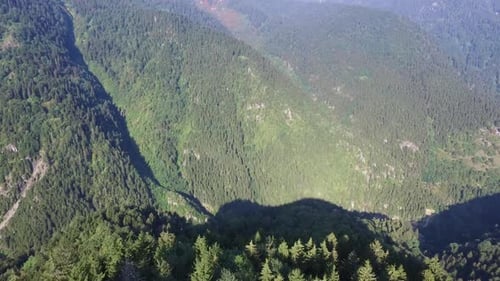 Fliegen Sie von der Wiese auf dem Gipfel des Berges in das tiefe bewaldete Tal