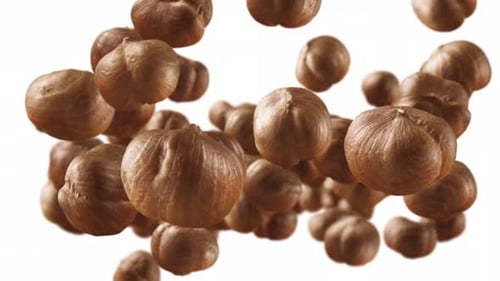 Flying of Hazelnuts in White Background with Alpha Channel