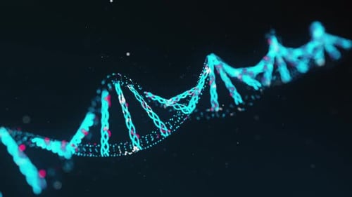 Two-Stranded DNA Molecule