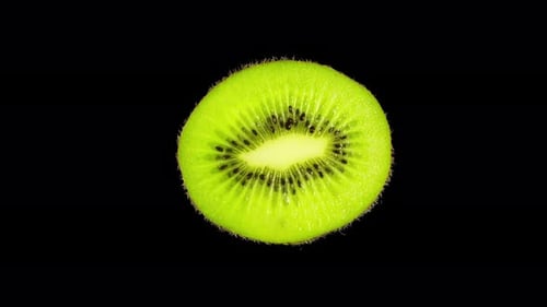 Rotating Green Kiwi Fruit Slice with Alpha Channel