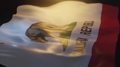 Golden Bear California Republic Flag Realistic Waving Loop