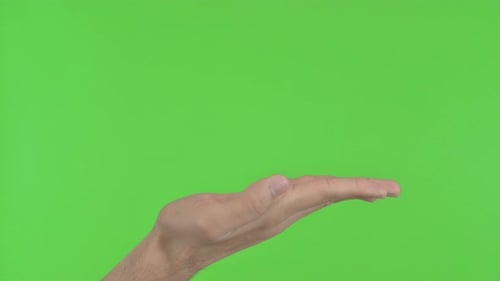 Hand Showing Gesture, Green Chroma Key