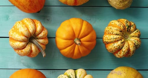 Pumpkins and Gourds on Rustic Blue Wood