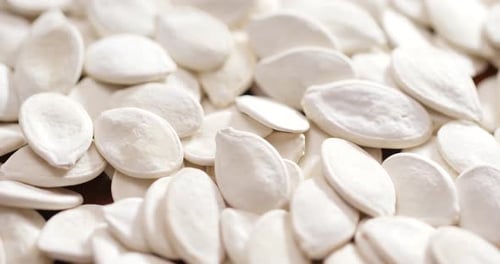 Pile of White Pumpkin Seeds Close Up