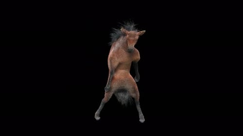 Funny Brown Horse Dancing Animation on Black Background Loop