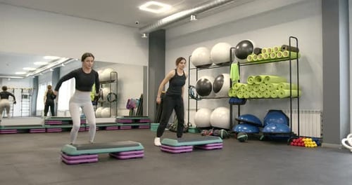 Young Women Doing Step Platform Exercise in Gym