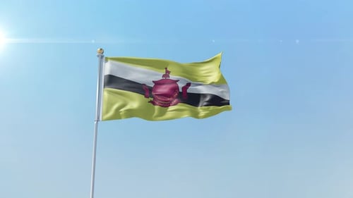 Brunei National Flag Waving in Realistic 3D