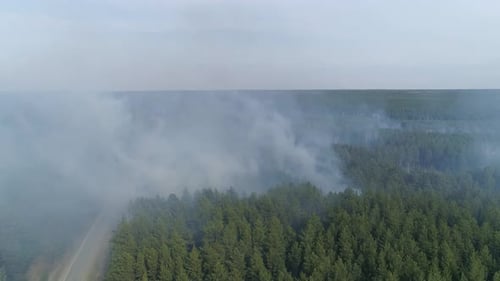 Aerial view of Forest fire 03
