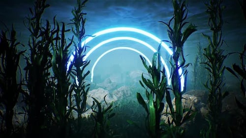 Blauer Glühlichtring im Unterwasseraquarium